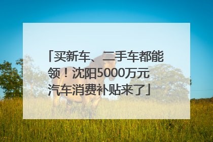 买新车、二手车都能领！沈阳5000万元汽车消费补贴来了